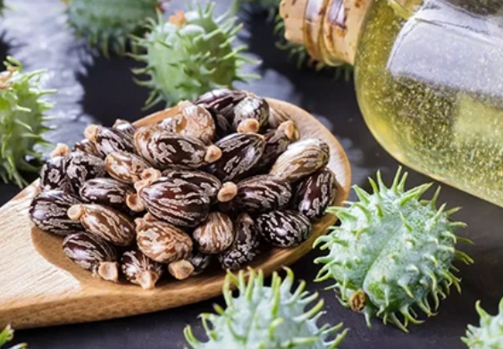 Les bienfaits de l'huile de ricin pour vos cheveux