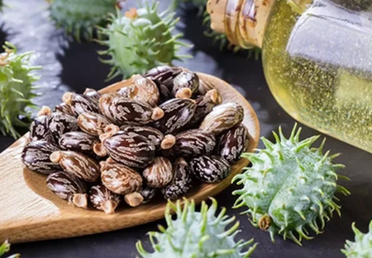 Les bienfaits de l'huile de ricin pour vos cheveux