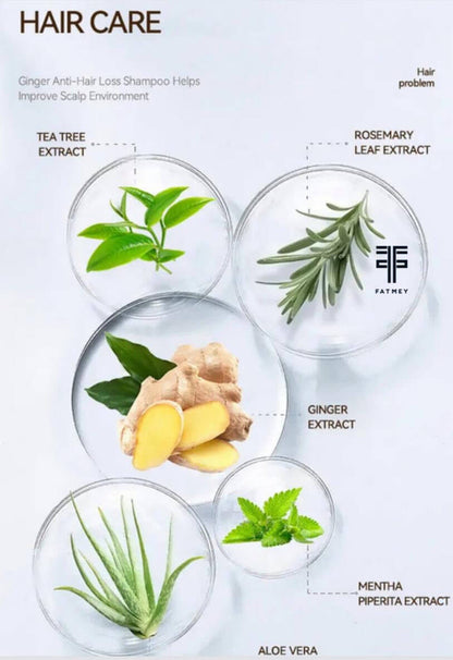 Gamme Anti-Chute:Gingembre et Arbre à Thé